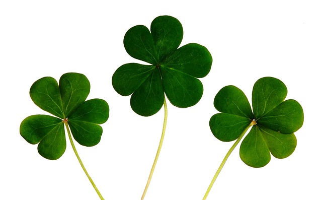 30 Irish Proverbs St. Patricks Day, four leaf clover